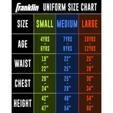 Kids Atlanta Falcons NFL Deluxe Uniform Costume - Franklin Sports at Spirit Halloween