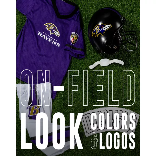Kids Baltimore Ravens NFL Deluxe Uniform Costume - Franklin Sports at Spirit Halloween