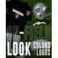 Kids Las Vegas Raiders NFL Deluxe Uniform Costume - Franklin Sports at Spirit Halloween