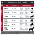 Buckle-Down Friday the 13th Dog Collar at Spencer's