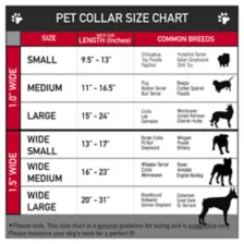 Buckle-Down Friday the 13th Dog Collar at Spencer's