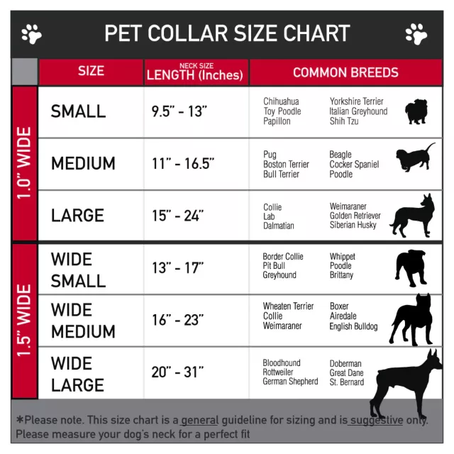 Buckle-Down Friday the 13th Dog Collar at Spencer's