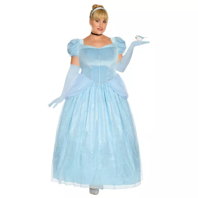 Adult Cinderella Costume Disney Princess