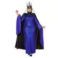 Adult Evil Queen Costume - Disney Villains at Spencer's