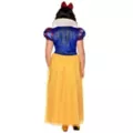 Adult Snow White Costume - Disney Princess at Spirit Halloween