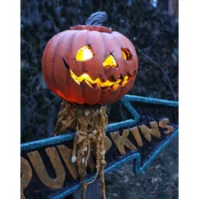 Light-Up Pumpkin Sign - Beastcraft at Spirit Halloween