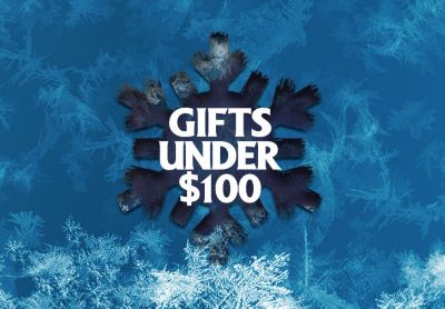gifts under 100