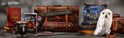 Top 25+ objets Harry Potter à offrir à un Potterhead