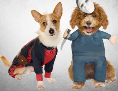 Pet Costumes