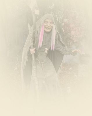 WILLOW WITCH