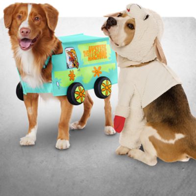 Pet Costumes