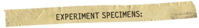 Experiment 1031