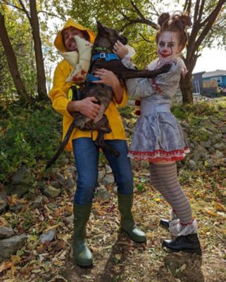 Couple dressed as Pennywise with dog