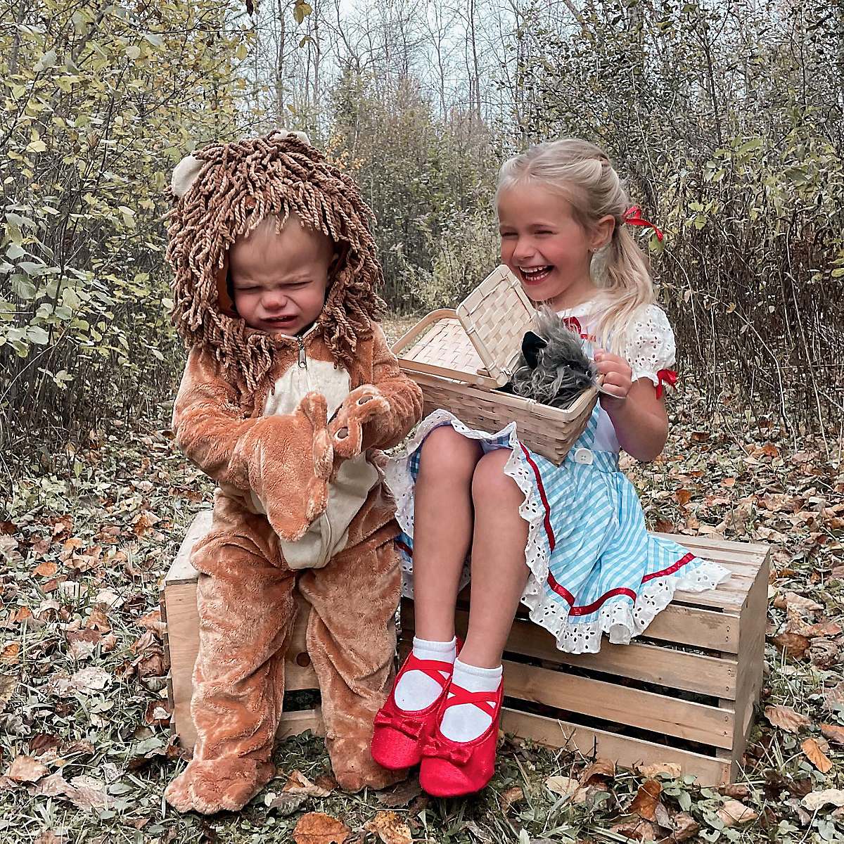 Kids in Halloween costume, one as a lion, one as Dorothy from The Wizard of Oz