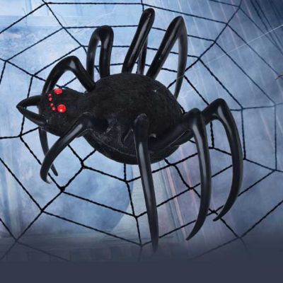 Spider Web